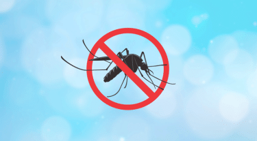 Bangladesh records 488 new dengue cases in 24 hours