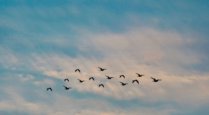 Dry weather likely across Bangladesh