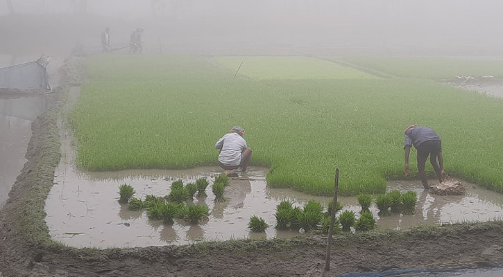 Temperatures to dip next week: Met office