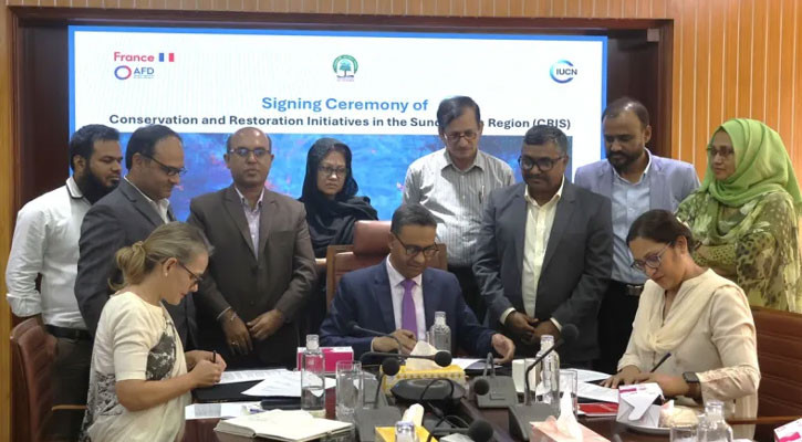 AFD-backed CRIS project to restore Sundarbans