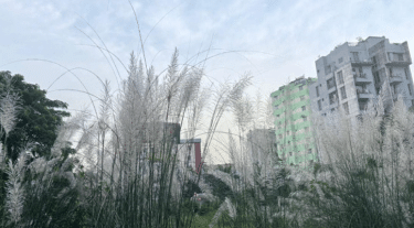 Dhaka's air quality 'moderate' this morning