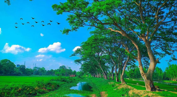 Dry weather likely across country