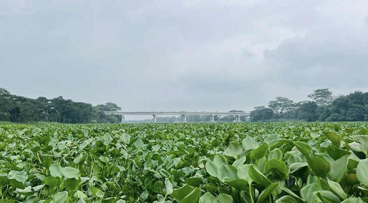 Dry weather likely across Bangladesh