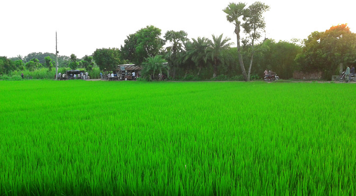 Dry weather likely across Bangladesh