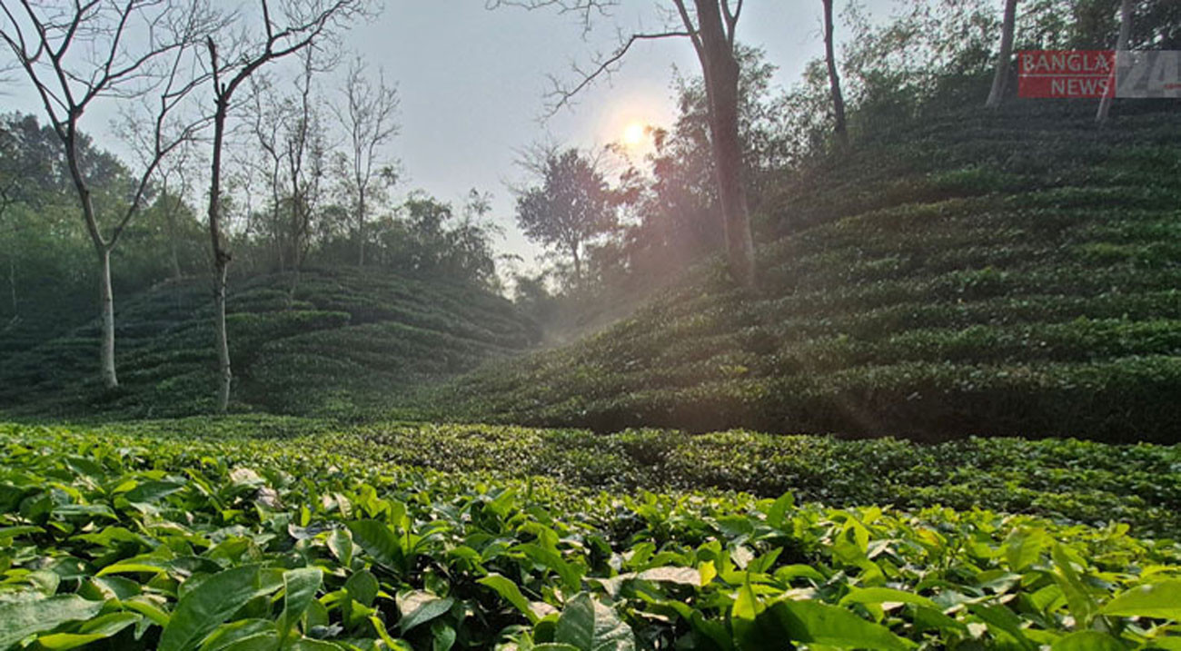 Load-shedding worsens in tourist town Sreemangal