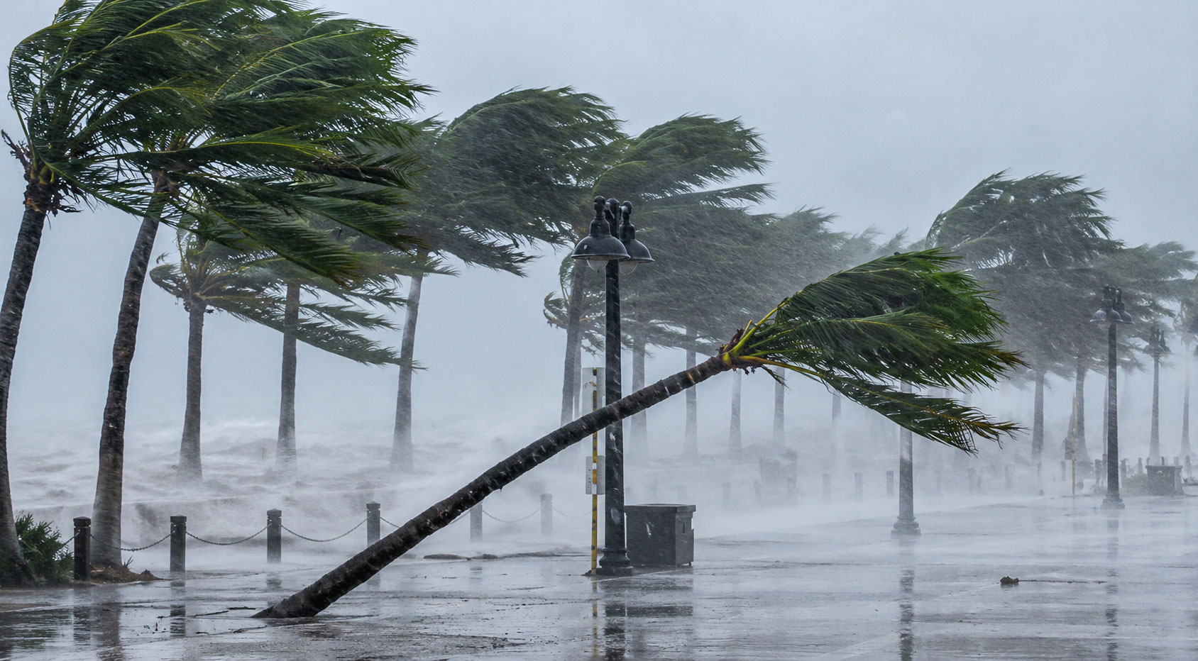 Storms of up to 80kph likely in six regions