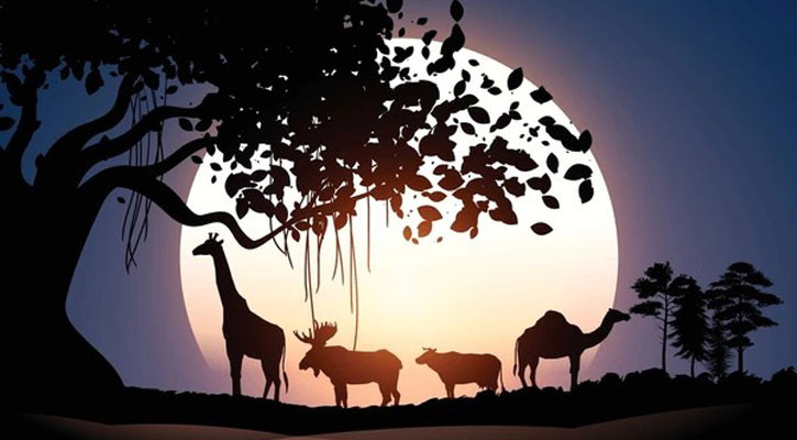 International Day for Biological Diversity tomorrow