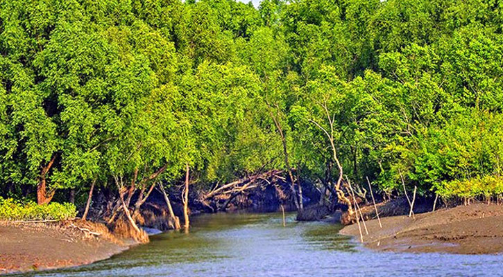 Sundarbans closed for three months to protect biodiversity