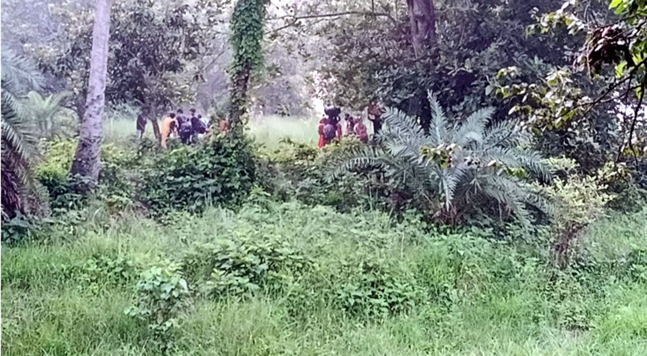 BGB foils eight more push-in attempts along border