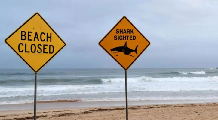 Shark attack kills man off Western Australia coast