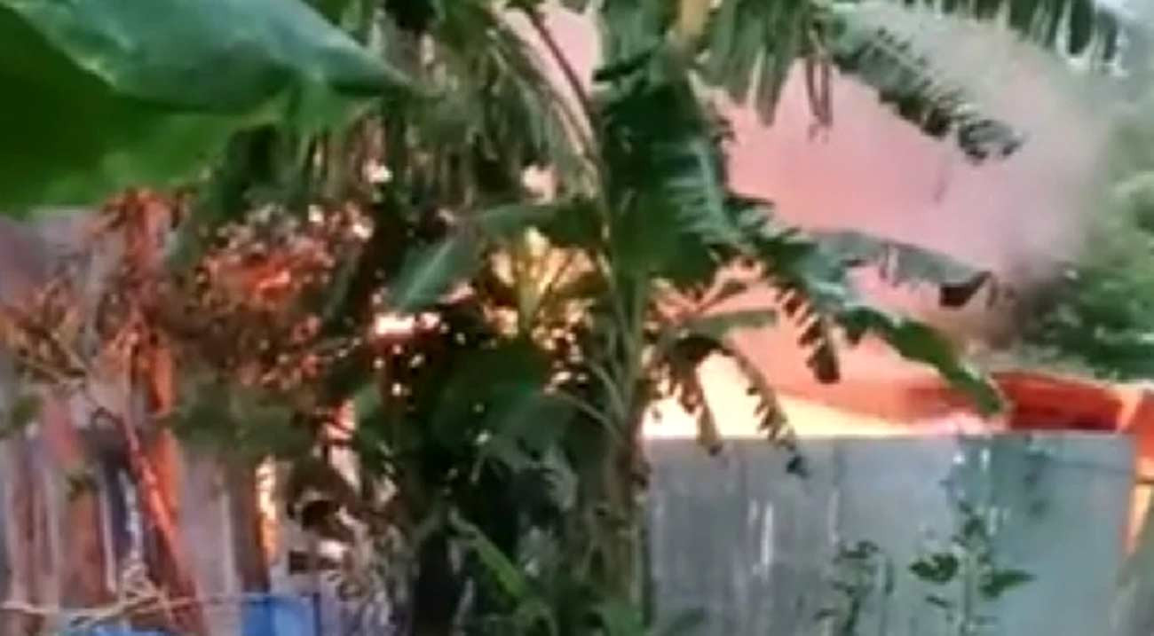 3 die after arson attack in Pabna over schoolgirl Riya murder