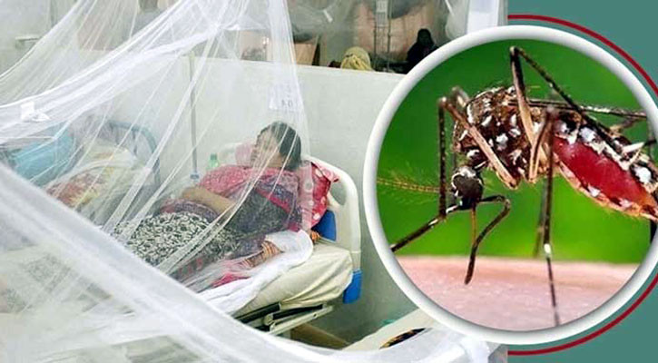 Two more die of dengue, 220 hospitalised