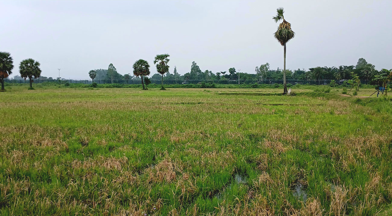 BSF took back nine at Naogaon border