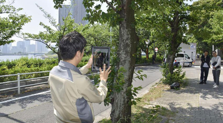 Japan tests AI systems to identify trees at risk of collapse