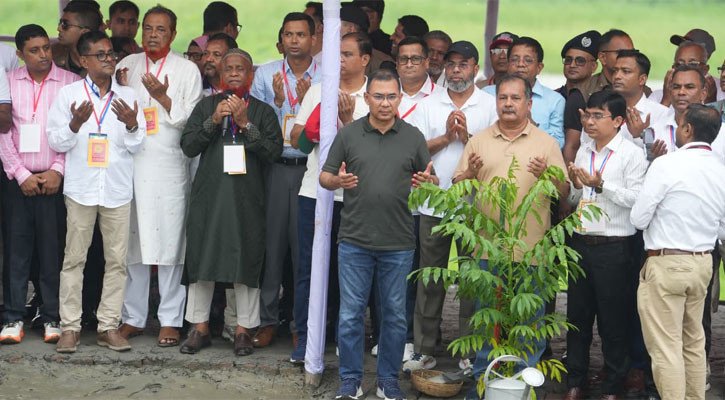 PM opens tree plantation campaign in Gournadi